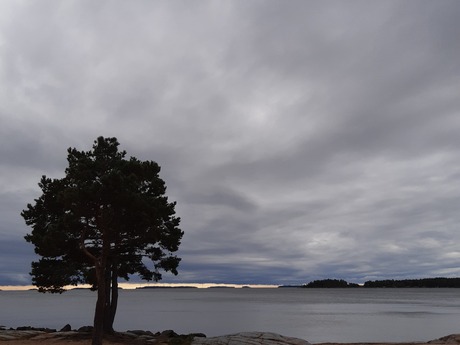 Margot Paulsson