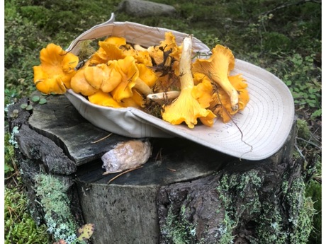 LilianMalmgren