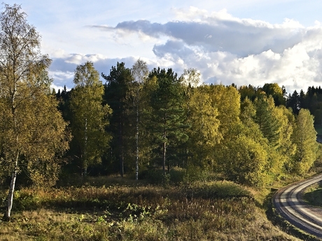 Börje Gustafson