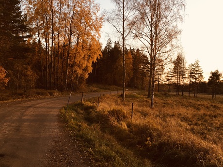 Petra Eriksson