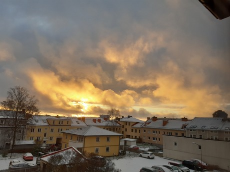 Birgitta Tmas