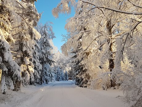 Christoffer Larsson