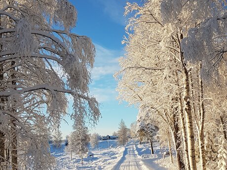 Christoffer Larsson