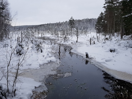 Ulf Eriksson