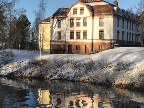Lena Tronnler