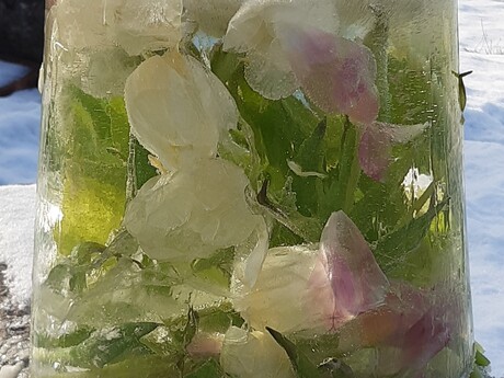 Ingrid Erlingson