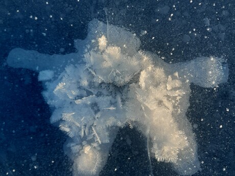 Ingrid Erlingson